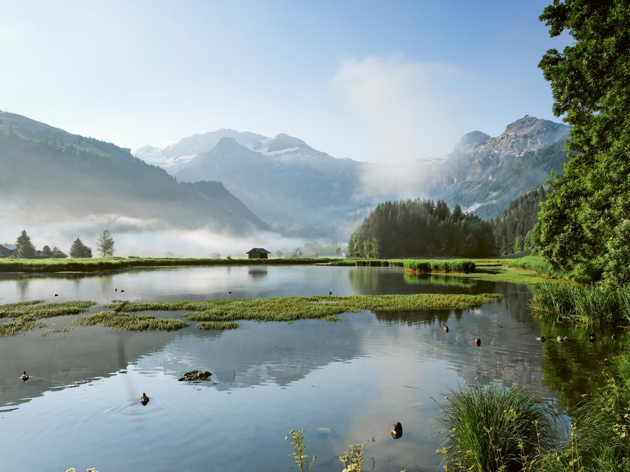 Das Lenkerseeli in Nebelstimmung und dem schneebedeckten Wildstrubel im Hintergrund.