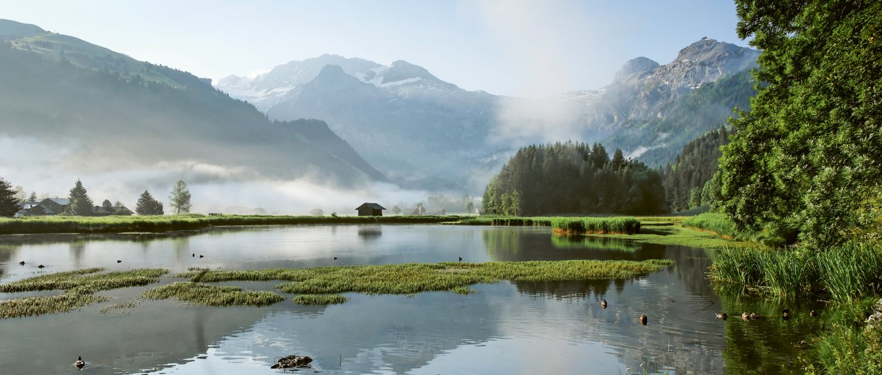 Das Lenkerseeli in Nebelstimmung und dem schneebedeckten Wildstrubel im Hintergrund.